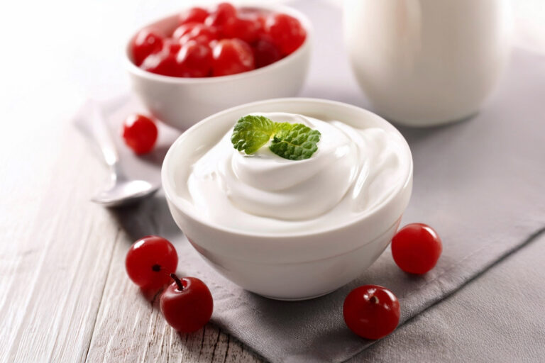 Crema fredda allo yogurt bianco fatta con preparato Horeca made in Italy