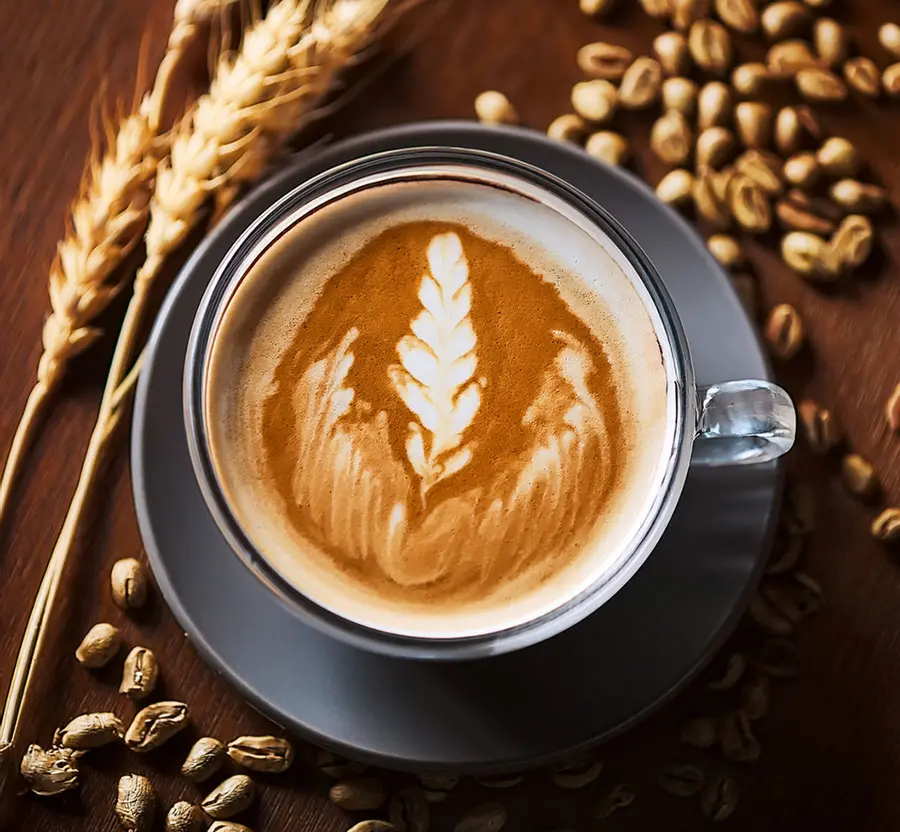 Hot coffee made with Horeca barley coffee preparation