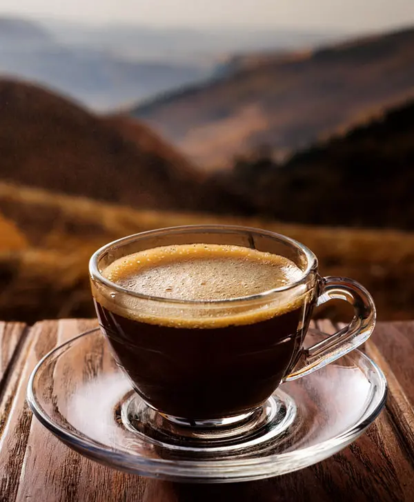 Hot barley coffee made with Horeca preparation made in Italy