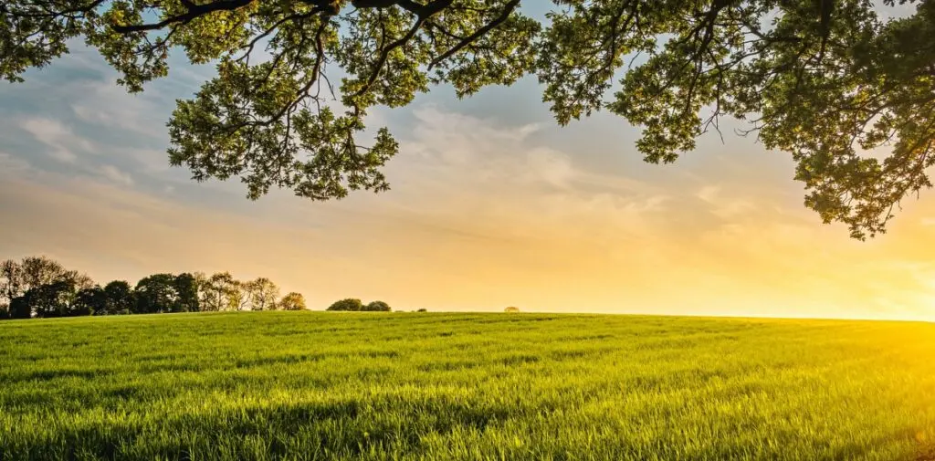 Paesaggio naturale